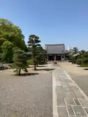 野中寺の建物その他