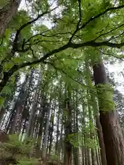 加蘇山神社の自然