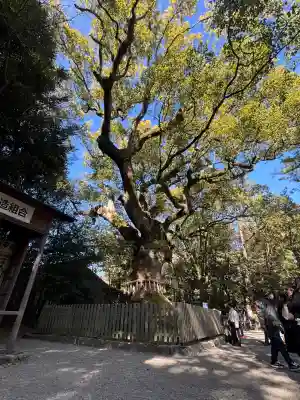 熱田神宮(愛知県)