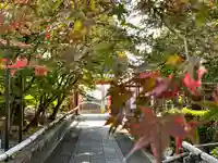 乙訓寺の山門・神門
