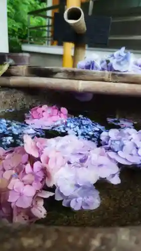 宝寿院の手水舎