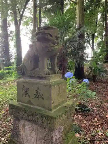 西郷神社の狛犬