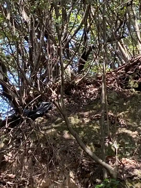 宇佐八幡宮の{uncategorized: "未分類", other: "その他", undefined: "問題あり", building: "その他建物", grave: "お墓", sacred_gate: "鳥居", guardian: "狛犬", statue: "像", buddha: "仏像", history: "歴史", nature: "自然", garden: "庭園", animal: "動物", pagoda: "塔", temizu: "手水舎", mountain_gate: "山門・神門", sanctuary: "本殿・本堂", subordinate: "末社・摂社", art: "芸術", scenery: "景色", jizo: "地蔵", ema: "絵馬", goshuin: "御朱印", omikuji: "おみくじ", items: "授与品その他", amulet: "お守り", goshuincho: "御朱印帳", eats: "食事", festival: "お祭り", votive_dance: "神楽", shichigosan: "七五三参", wedding: "結婚式", experience: "体験その他", initially: "初詣", around: "周辺", anti_infection: "感染症対策"}