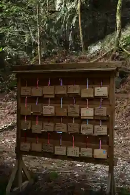 地主神社（桑の川の鳥居杉）(高知県)