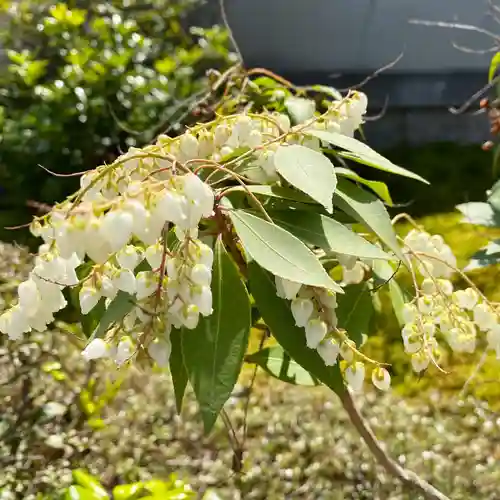 嘉祥寺の庭園