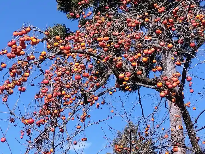 賀茂神社(福井県)