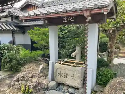 龍雲寺（桃山善光寺）(京都府)