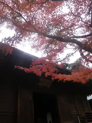 長勝寺の自然