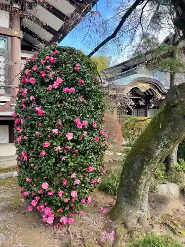 大義寺(東京都)