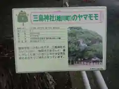 三島神社(愛知県)