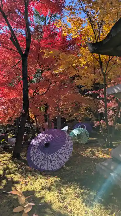 勝林寺(京都府)