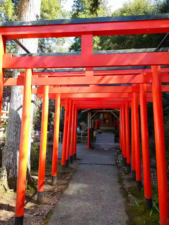 伊奈波神社の鳥居