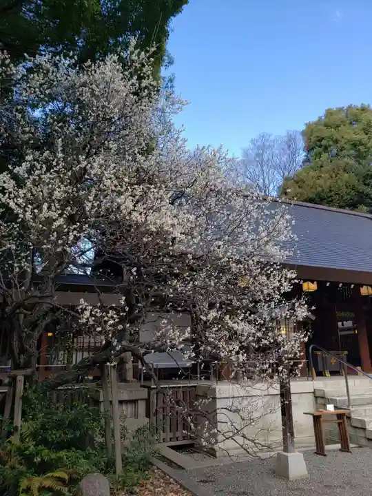 乃木神社(東京都)