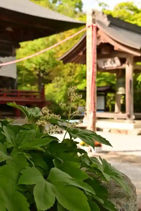 音楽寺(埼玉県)