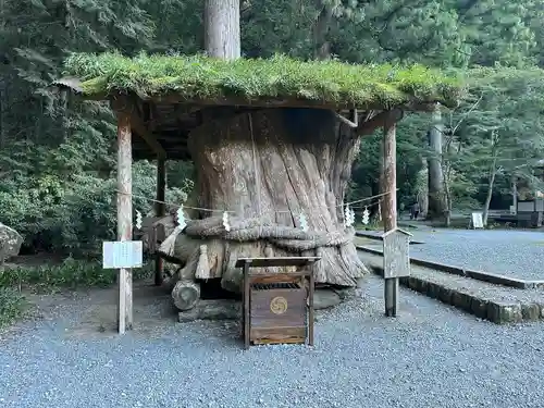 小國神社(静岡県)