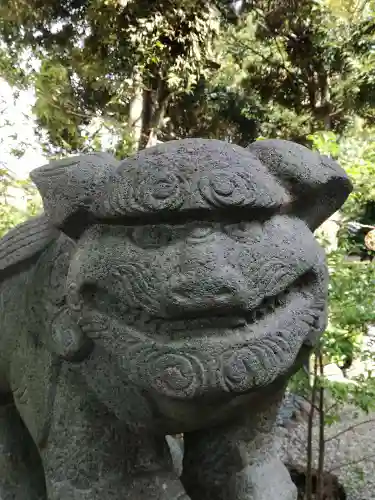 菊田神社の狛犬