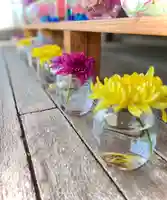 伊達神社(北海道)