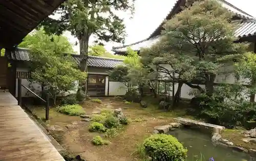 浄住寺の庭園