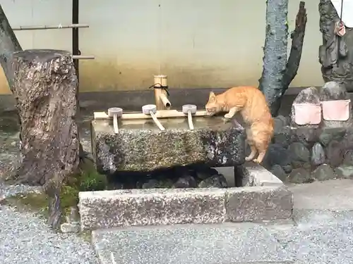御寺 泉涌寺の手水舎