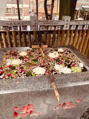 高円寺氷川神社(東京都)