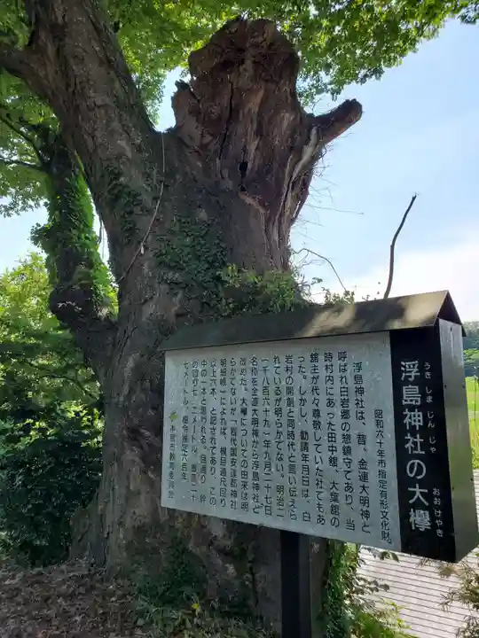 浮島神社の自然