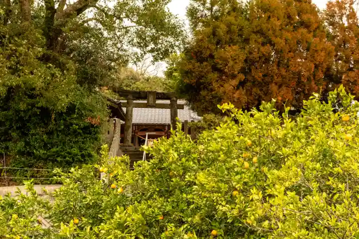 河内阿蘇神社(熊本県)