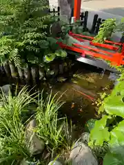 田無神社(東京都)