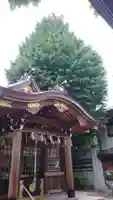 白龍神社の本殿・本堂