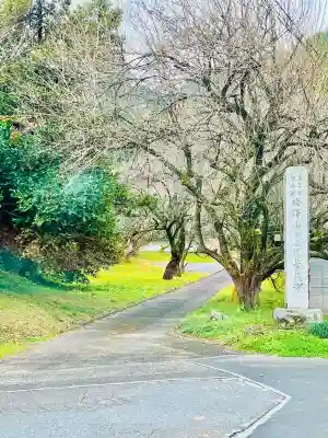 華藏寺(梅澤不動尊) の{uncategorized: "未分類", other: "その他", undefined: "問題あり", building: "その他建物", grave: "お墓", sacred_gate: "鳥居", guardian: "狛犬", statue: "像", buddha: "仏像", history: "歴史", nature: "自然", garden: "庭園", animal: "動物", pagoda: "塔", temizu: "手水舎", mountain_gate: "山門・神門", sanctuary: "本殿・本堂", subordinate: "末社・摂社", art: "芸術", scenery: "景色", jizo: "地蔵", ema: "絵馬", goshuin: "御朱印", omikuji: "おみくじ", items: "授与品その他", amulet: "お守り", goshuincho: "御朱印帳", eats: "食事", festival: "お祭り", votive_dance: "神楽", shichigosan: "七五三参", wedding: "結婚式", experience: "体験その他", initially: "初詣", around: "周辺", anti_infection: "感染症対策"}