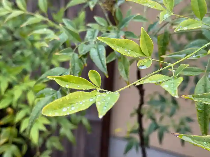 西方山極楽寺(岐阜県)
