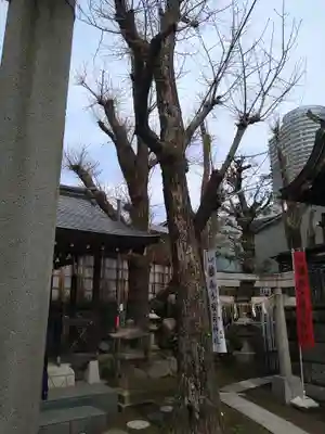 飛木稲荷神社(東京都)