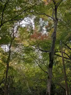 祇王寺(京都府)