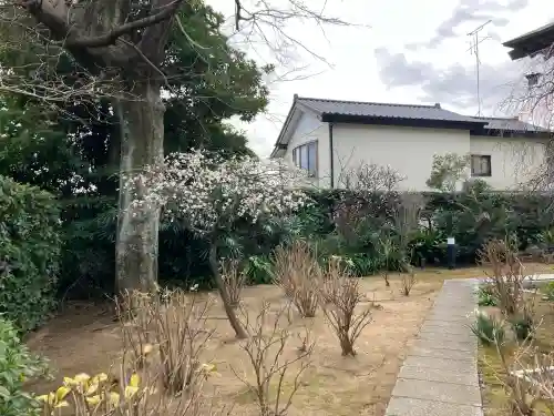 悟心寺(神奈川県)