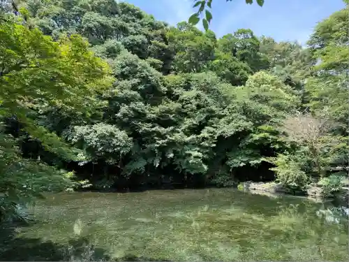 富士山本宮浅間大社(静岡県)