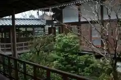 安楽寺の建物その他