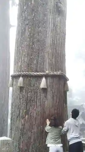 三峯神社の自然