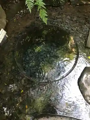 明治神宮(東京都)