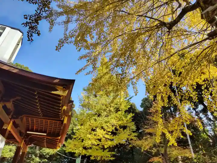 渋谷氷川神社の自然