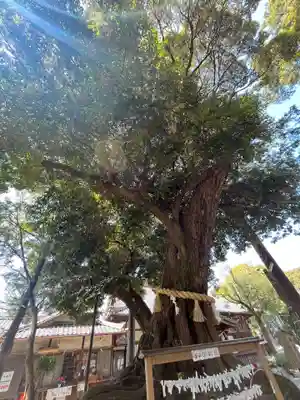 豊川進雄神社(愛知県)