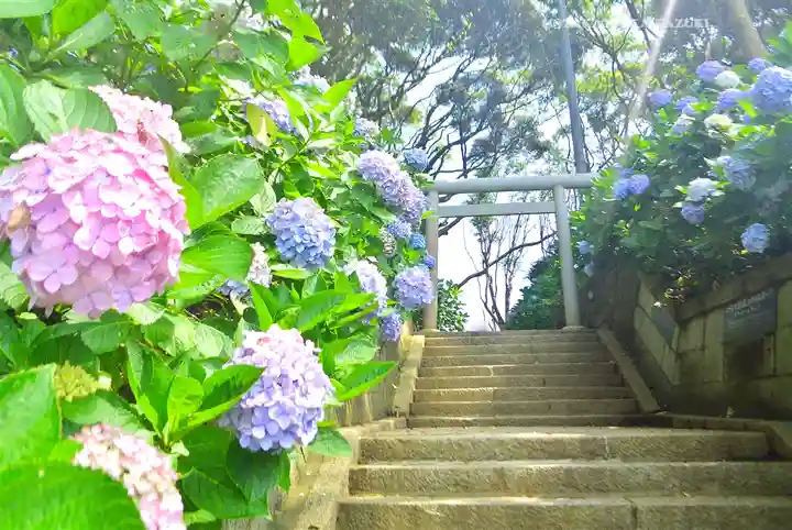 酒列磯前神社(茨城県)