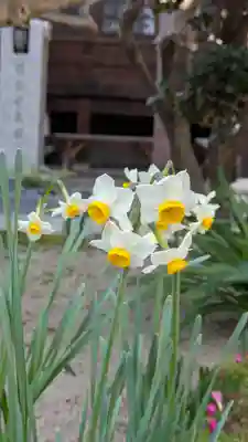 大雲寺(大阪府)