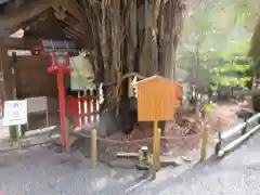 貴船神社の自然