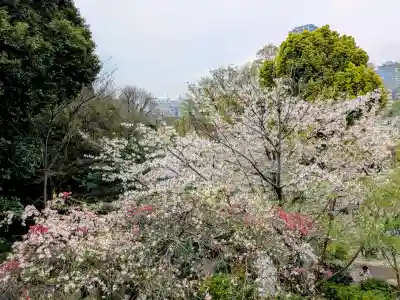 清水観音堂の{uncategorized: "未分類", other: "その他", undefined: "問題あり", building: "その他建物", grave: "お墓", sacred_gate: "鳥居", guardian: "狛犬", statue: "像", buddha: "仏像", history: "歴史", nature: "自然", garden: "庭園", animal: "動物", pagoda: "塔", temizu: "手水舎", mountain_gate: "山門・神門", sanctuary: "本殿・本堂", subordinate: "末社・摂社", art: "芸術", scenery: "景色", jizo: "地蔵", ema: "絵馬", goshuin: "御朱印", omikuji: "おみくじ", items: "授与品その他", amulet: "お守り", goshuincho: "御朱印帳", eats: "食事", festival: "お祭り", votive_dance: "神楽", shichigosan: "七五三参", wedding: "結婚式", experience: "体験その他", initially: "初詣", around: "周辺", anti_infection: "感染症対策"}