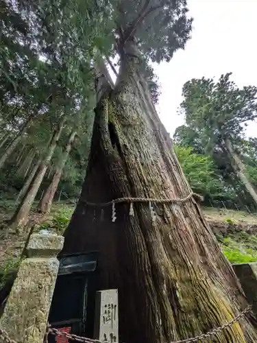 青玉神社(兵庫県)