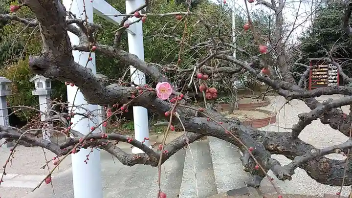 比佐豆知神社(三重県)