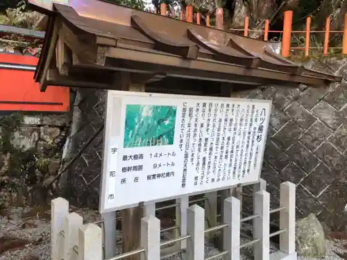 桜實神社の歴史