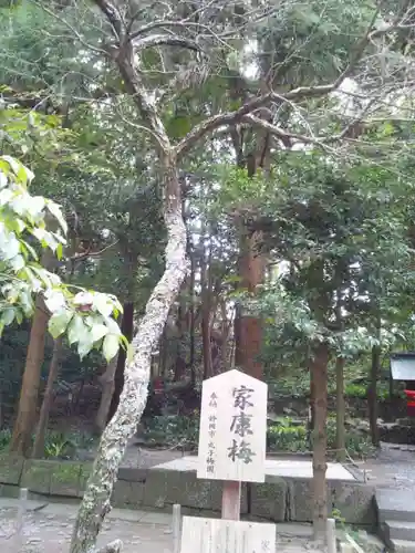 久能山東照宮の自然