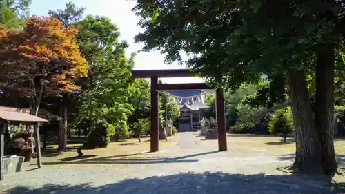 美国神社の鳥居