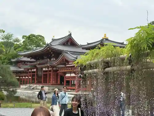 平等院の{uncategorized: "未分類", other: "その他", undefined: "問題あり", building: "その他建物", grave: "お墓", sacred_gate: "鳥居", guardian: "狛犬", statue: "像", buddha: "仏像", history: "歴史", nature: "自然", garden: "庭園", animal: "動物", pagoda: "塔", temizu: "手水舎", mountain_gate: "山門・神門", sanctuary: "本殿・本堂", subordinate: "末社・摂社", art: "芸術", scenery: "景色", jizo: "地蔵", ema: "絵馬", goshuin: "御朱印", omikuji: "おみくじ", items: "授与品その他", amulet: "お守り", goshuincho: "御朱印帳", eats: "食事", festival: "お祭り", votive_dance: "神楽", shichigosan: "七五三参", wedding: "結婚式", experience: "体験その他", initially: "初詣", around: "周辺", anti_infection: "感染症対策"}