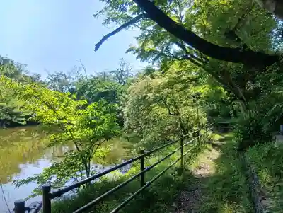 龍神神社の{uncategorized: "未分類", other: "その他", undefined: "問題あり", building: "その他建物", grave: "お墓", sacred_gate: "鳥居", guardian: "狛犬", statue: "像", buddha: "仏像", history: "歴史", nature: "自然", garden: "庭園", animal: "動物", pagoda: "塔", temizu: "手水舎", mountain_gate: "山門・神門", sanctuary: "本殿・本堂", subordinate: "末社・摂社", art: "芸術", scenery: "景色", jizo: "地蔵", ema: "絵馬", goshuin: "御朱印", omikuji: "おみくじ", items: "授与品その他", amulet: "お守り", goshuincho: "御朱印帳", eats: "食事", festival: "お祭り", votive_dance: "神楽", shichigosan: "七五三参", wedding: "結婚式", experience: "体験その他", initially: "初詣", around: "周辺", anti_infection: "感染症対策"}